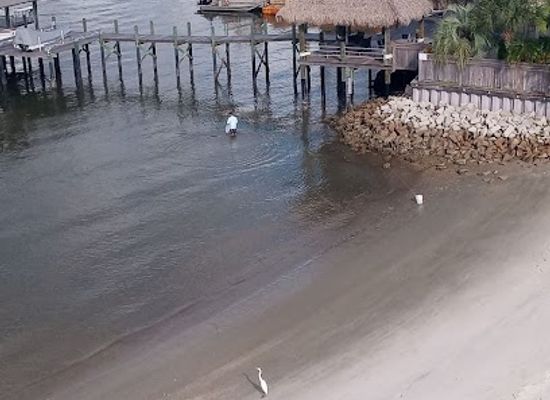 florida/northeast-florida/landmark/vilano-beach-nature-boardwalk