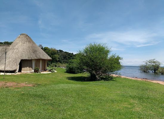 uganda/ssese-islands/landmark/ngamba-chimpanzee-sanctuary-on-lake-victoria