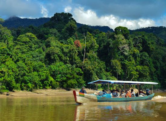bolivia/la-paz/landmark/deep-rainforest-tour-operator