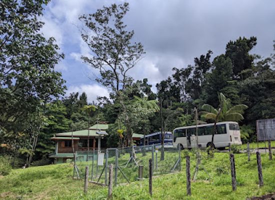 dominica/saint-peter/landmark/syndicate-nature-trail