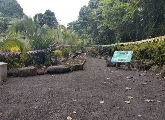 samoa/satupa-itea/landmark/afu-aau-waterfalls
