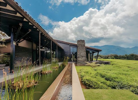 rwanda/nyungwe-forest-national-park/landmark/nyungwe-forest-lodge