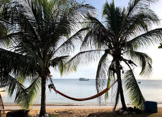 nicaragua/corn-islands/landmark/cafe-desideri
