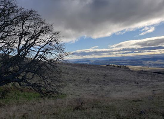 washington/eastern-washington/landmark/columbia-hills-historical-state-park