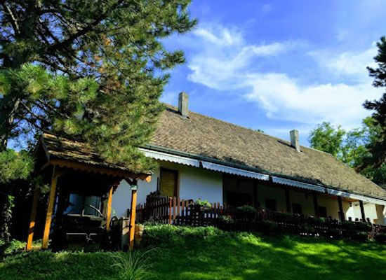 serbia/fruska-gora-national-park/landmark/museum-of-beekeeping-and-winery-zivanovic