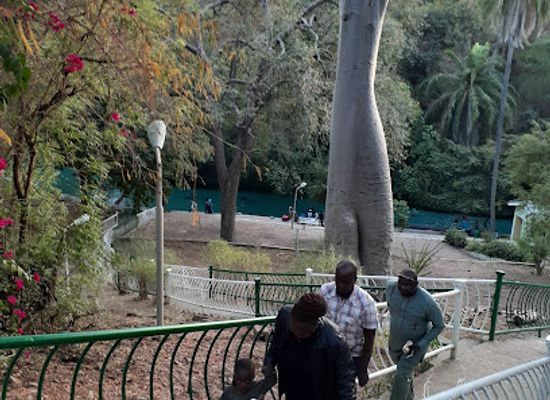 nigeria/jukun/landmark/wikki-warm-springs