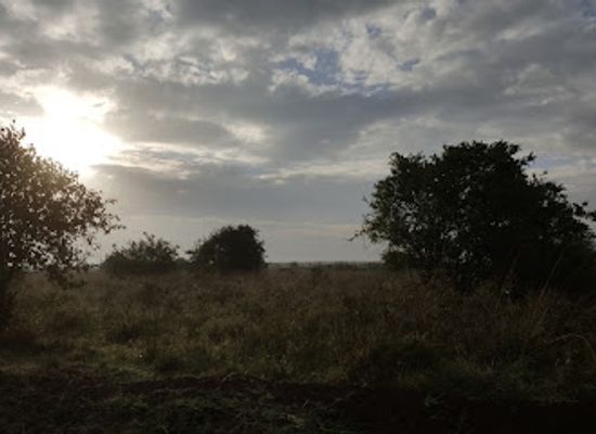 kenya/eastern-region/landmark/nairobi-national-park