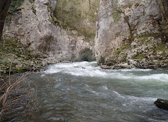slovenia/sava/landmark/reka