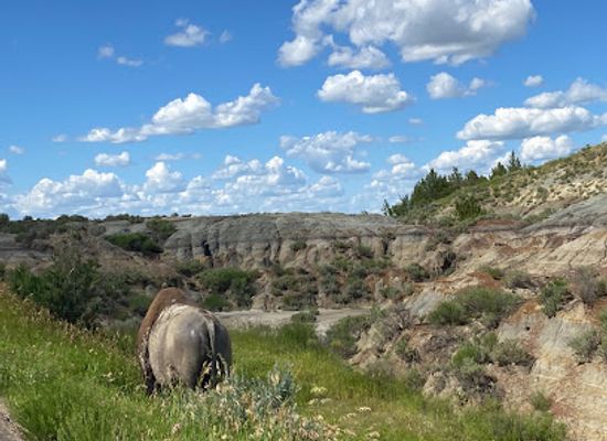 north-dakota/theodore-roosevelt-national-park/landmark/theodore-roosevelt-national-park-south-unit