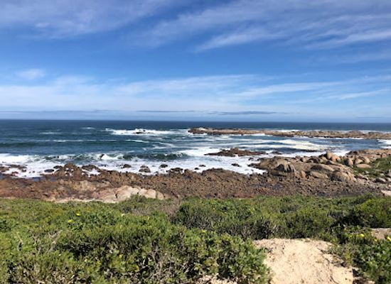 south-africa/namaqualand/landmark/cape-columbine-nature-reserve