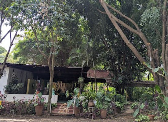 tanzania/arusha/landmark/spices-and-herbs-ethiopian-restaurant-and-lodge