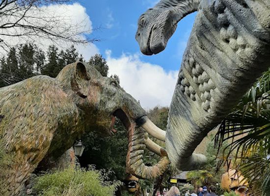 united-kingdom/dyfed/attraction/national-showcaves-centre-for-wales-2