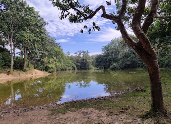 bangladesh/sylhet-division/landmark/rema-kalenga-reserved-forest