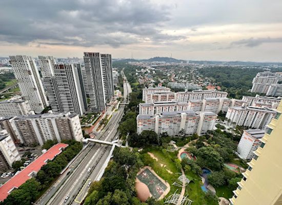 singapore/clementi/landmark/firefly-park