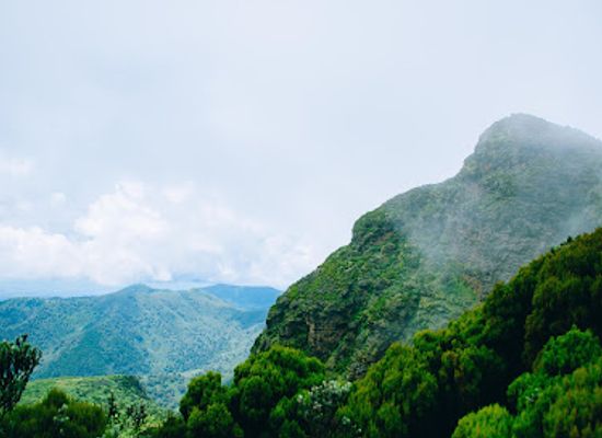 kenya/nyandarua-range/landmark/elephant-hill-hiking-trail-aberdare-njabini-kenya