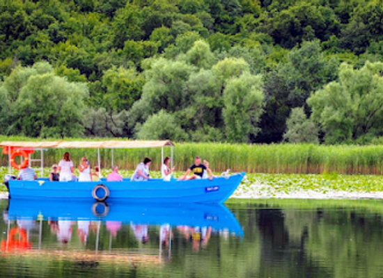 montenegro/lake-skadar/landmark/monte-frog