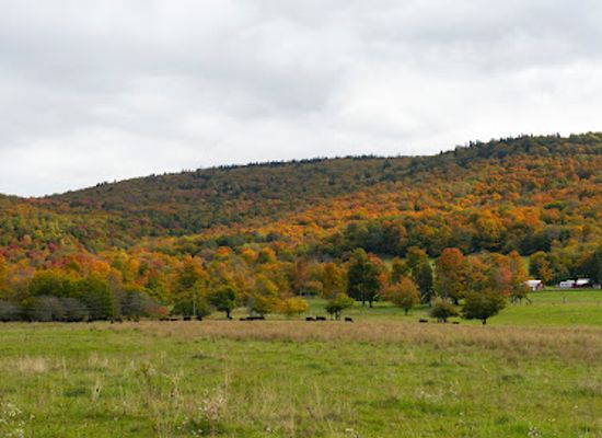 west-virginia/canaan-valley/landmark/canaan-valley-national-wildlife-refuge