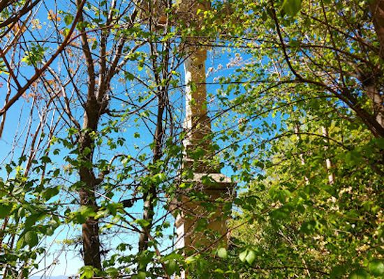 spain/granada/realejo-san-matias/landmark/cruz-de-los-martires