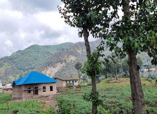 rwanda/gisenyi/landmark/gishwati-mukura-national-park-and-biosphere-reserve