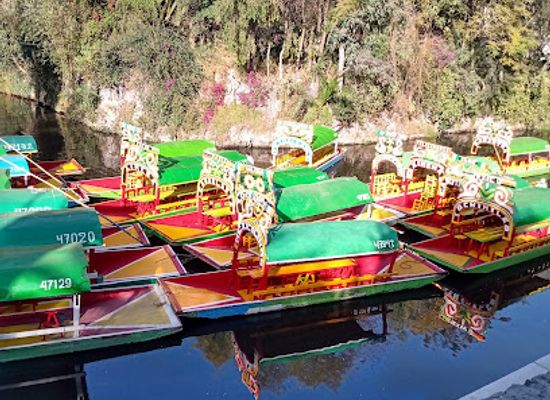 mexico/mexico-city/xochimilco/landmark/trajineras-xochimilco