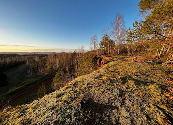 luxembourg/red-lands/landmark/nature-reserve-brucherbierg-lallengerbierg