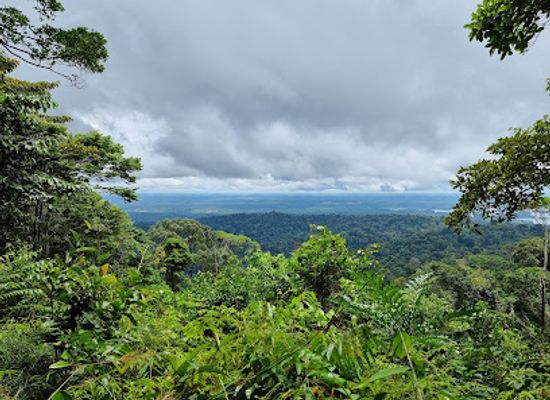 suriname/brokopondo/landmark/brownsberg