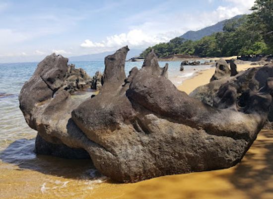 madagascar/analanjirofo/landmark/masoala-national-park