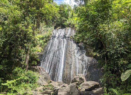 puerto-rico/yunque-national-forest/landmark/el-yunque