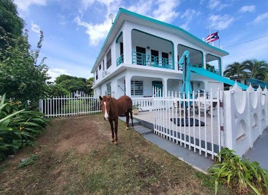 puerto-rico/vieques-island/landmark/coco-loco-vieques-hotel-guesthouse