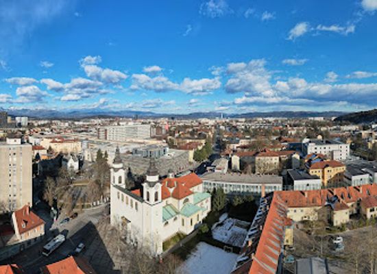 slovenia/southeast-slovenia/landmark/st-peter-s-parish-church
