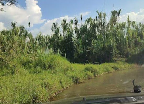 colombia/quindio-department/landmark/valle-de-maravelez