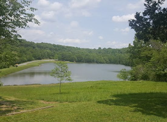 illinois/corn-belt/landmark/ferne-clyffe-state-park