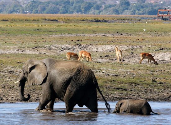 botswana/southern-district/landmark/chobe-national-park