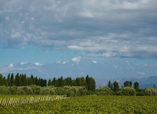 argentina/mendoza-wine-region/landmark/uncorking-argentina-tours