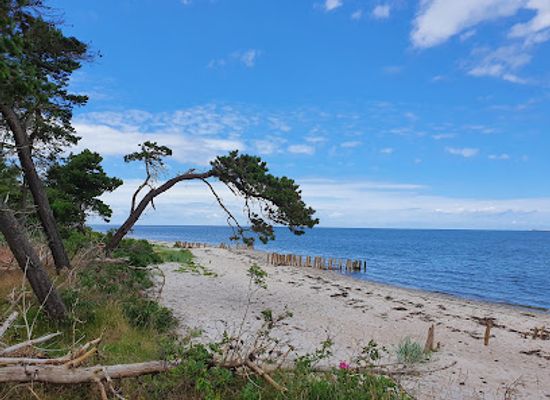 denmark/funen/landmark/enebarodde