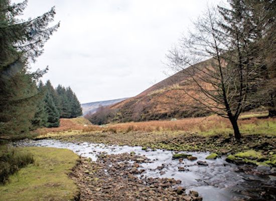 united-kingdom/peak-district/attraction/snake-woodland-forestry-england-2