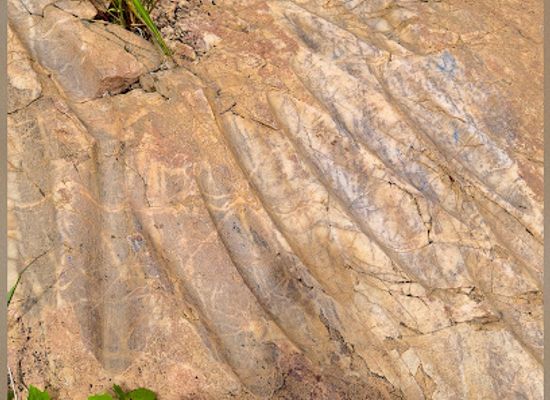 zambia/bangweulu-wetlands/landmark/kasamba-stream-grinding-grooves