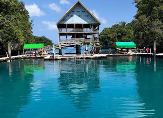 palau/ngeruangel/landmark/dolphins-pacific
