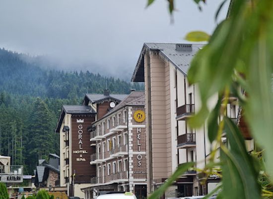 ukraine/bukovel/landmark/goral-hotel-spa