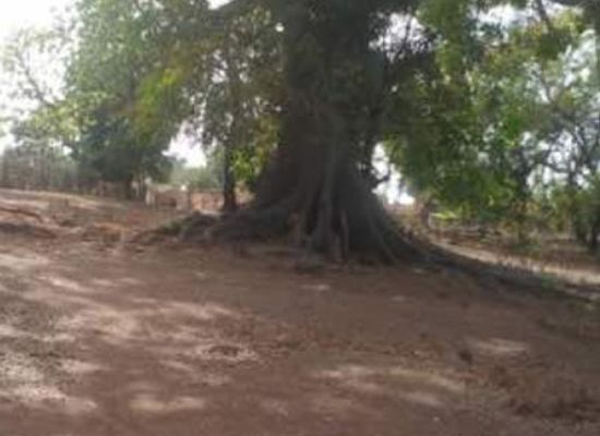 mali/bamako/hamdallaye/landmark/hamdallaye