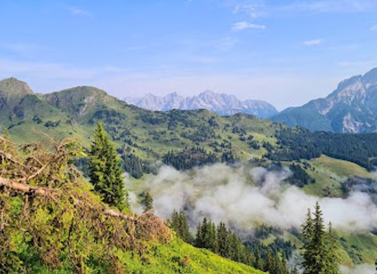 austria/saalbach-hinterglemm/landmark/montelino-s-erlebnisweg