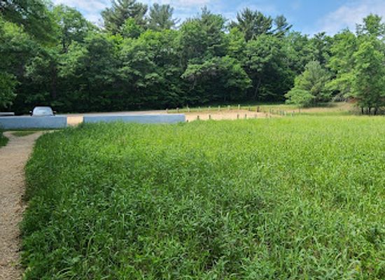 wisconsin/chippewa-valley/landmark/devil-s-punchbowl-preserve