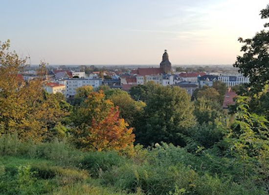 poland/gorzów-wielkopolski/landmark/park-siemiradzkiego