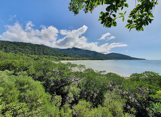 australia/cape-tribulation/landmark/kulki-rainforest-walk