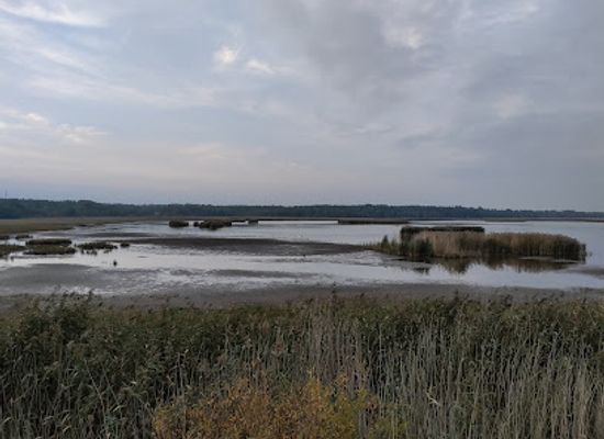 finland/uusimaa/landmark/laajalahti-nature-preserve