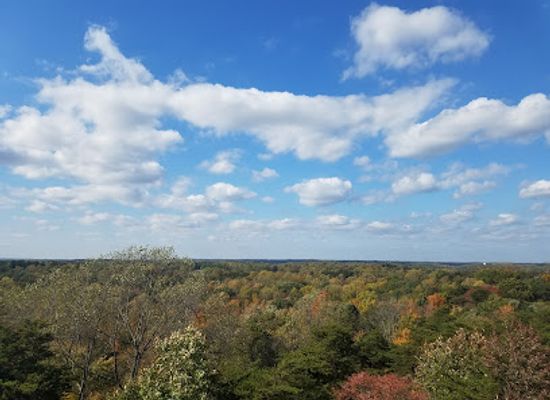ohio/appalachian-ohio/landmark/ash-cave