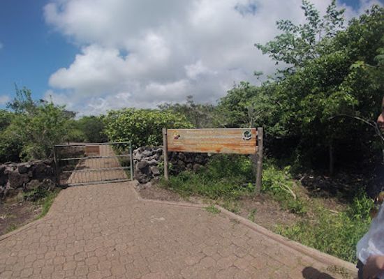 ecuador/southern-sierra/landmark/galapaguera-de-cerro-colorado
