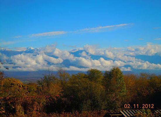 georgia/telavi/landmark/bardanashvili-s-marani