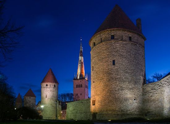 estonia/harjumaa/landmark/koismae-torni-muntide-vermija