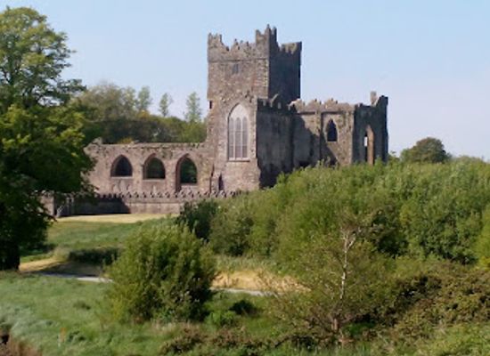 ireland/county-wexford/landmark/colclough-walled-garden